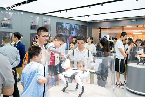 蔚藍科技發(fā)布具身智能產(chǎn)品矩陣，引領AI新紀元的信息技術咨詢服務革新